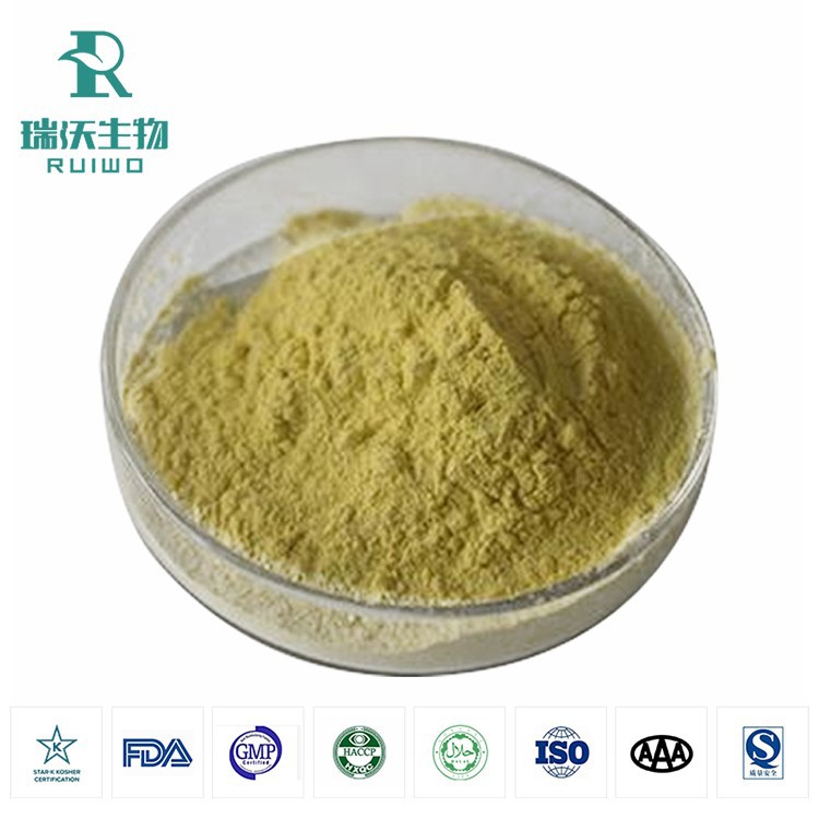 Amerikansk ginseng extrakt