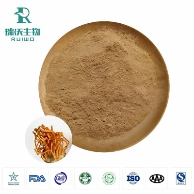 Cordyceps Militaris Cordycepin